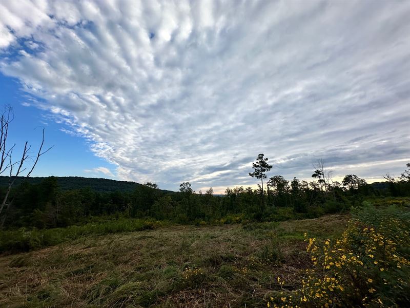 Secluded with Endless Possibilities : Clinton : Van Buren County : Arkansas