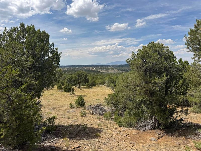 Tr 87 County Road 340, Walsenburg : Walsenburg : Huerfano County : Colorado