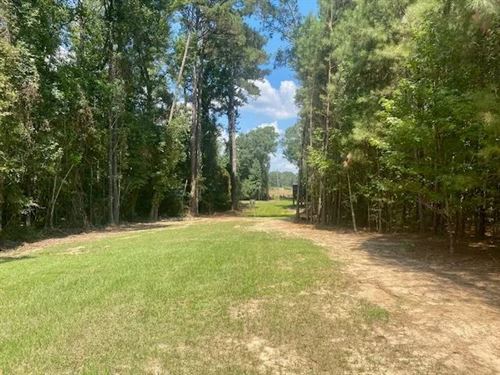 40 Acres On Adams Rd, Smithdale : Smithdale : Amite County : Mississippi
