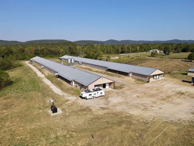 Gilchrist Breeder Farm : Wellington : Calhoun County : Alabama