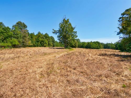 Trinity Creeks : Rayle : Wilkes County : Georgia