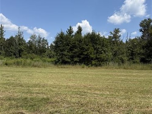 9.14 Acres in Gloster, MS : Gloster : Amite County : Mississippi