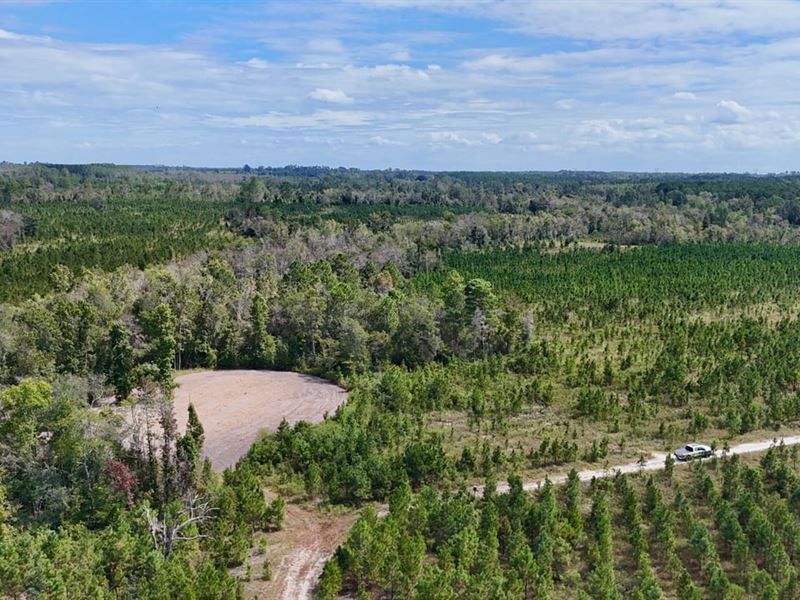 Pine Hill Retreat : Hazlehurst : Jeff Davis County : Georgia