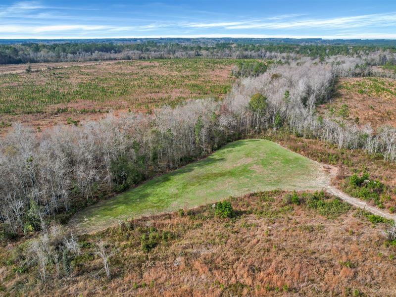 Pine Hill Retreat : Hazlehurst : Jeff Davis County : Georgia