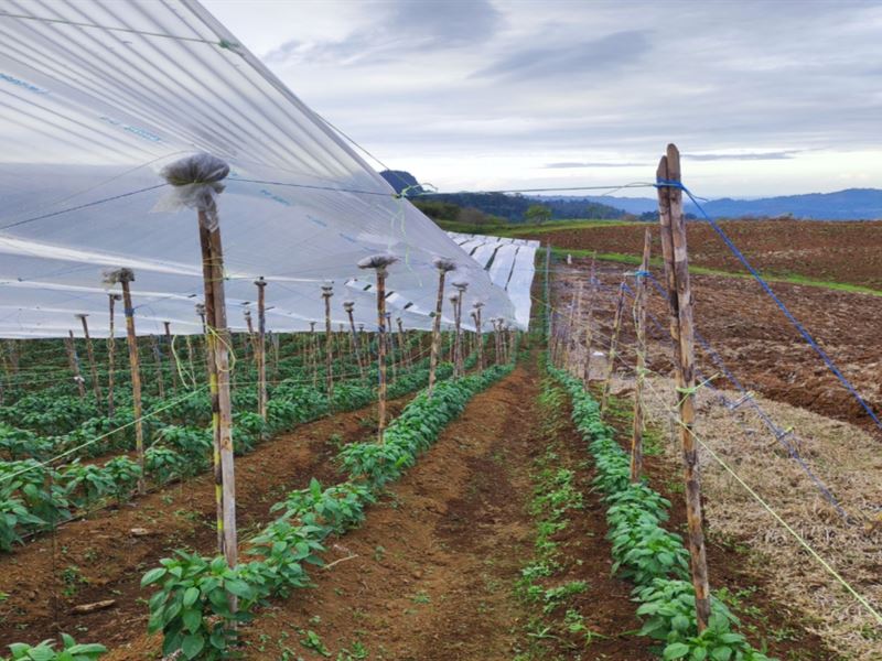48 Acre Turrialba Mountain Farm : Turrialba : Costa Rica