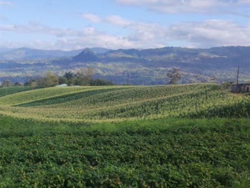 48 Acre Turrialba Mountain Farm : Turrialba : Costa Rica
