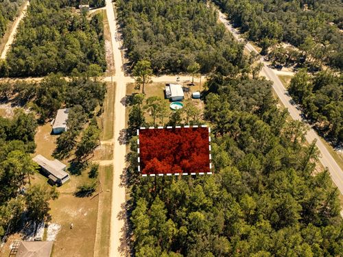 Quiet Living, Big Potential : Interlachen : Putnam County : Florida