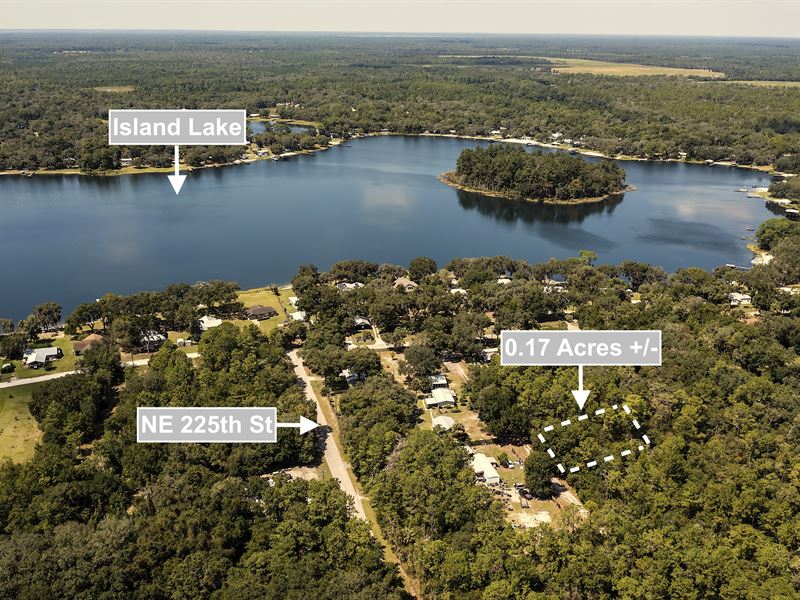 Next To Lake : Fort McCoy : Marion County : Florida