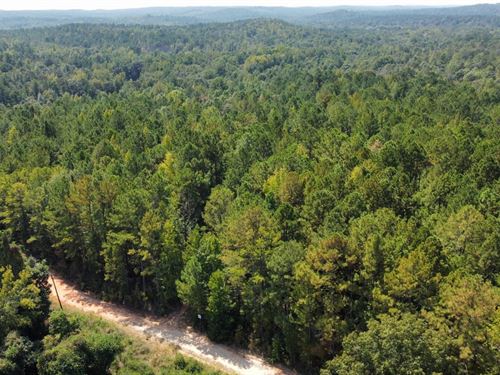 73 Acres Tallapoosa County Chur : Dadeville : Tallapoosa County : Alabama