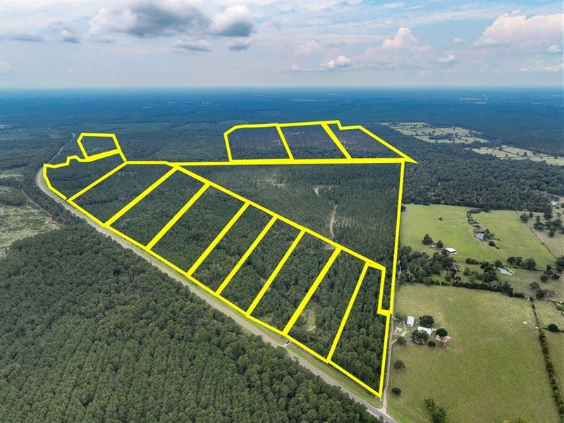 22 Acres, T-34, Highway 94, 4552 : Groveton : Trinity County : Texas