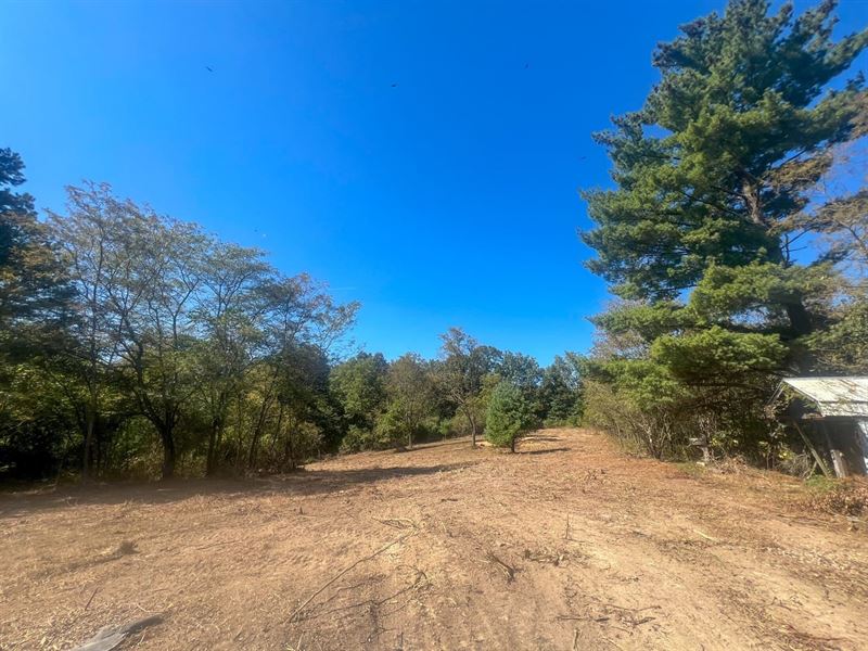 Carpenter Rd, 38 Acres : Ray : Vinton County : Ohio