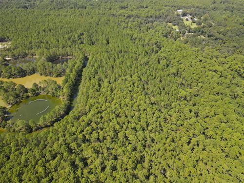 13 Acres In Harrison County, MS : Pass Christian : Harrison County : Mississippi