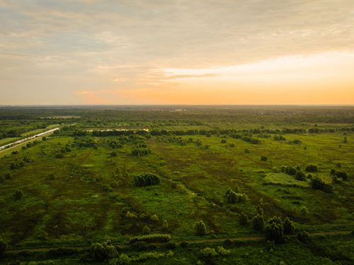 The Reclamation, Land Auction : Paradis : Saint Charles Parish : Louisiana