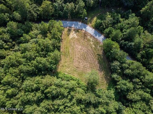 Hunting Land For Sale in Copiah Cou : Wesson : Copiah County : Mississippi