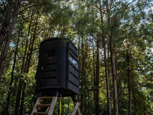 Hunting Land For Sale in Copiah Cou : Wesson : Copiah County : Mississippi