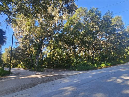 Citra Lot Near Lakes and Trails : Citra : Marion County : Florida