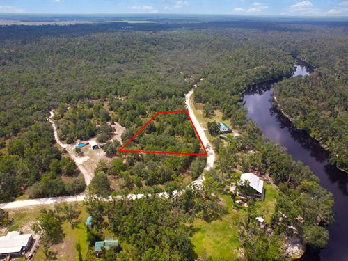 Peaceful Living Near Suwannee River : Live Oak : Suwannee County : Florida