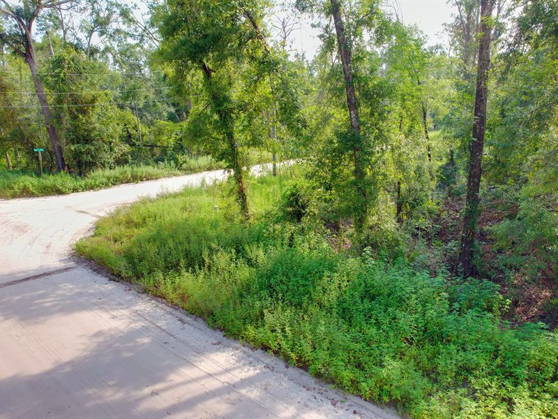 1.34 Acre Homesite Near The River : Live Oak : Suwannee County : Florida