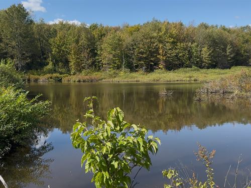 On Middletown Brook : Otselic : Chenango County : New York