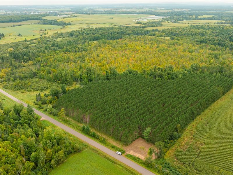 51.46 Acres Barron County : Barron : Barron County : Wisconsin