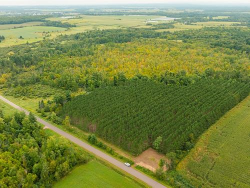51.46 Acres Barron County : Barron : Wisconsin