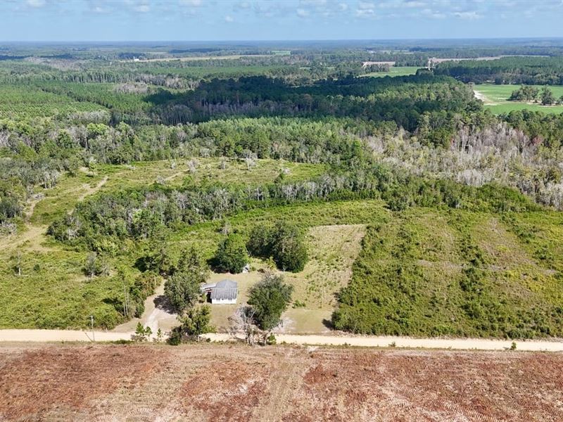 Tract 2 in Pinecone Trail, Mershon : Mershon : Pierce County : Georgia