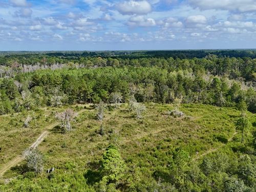 Tract 3 in Pinecone Trail, Mershon : Mershon : Pierce County : Georgia