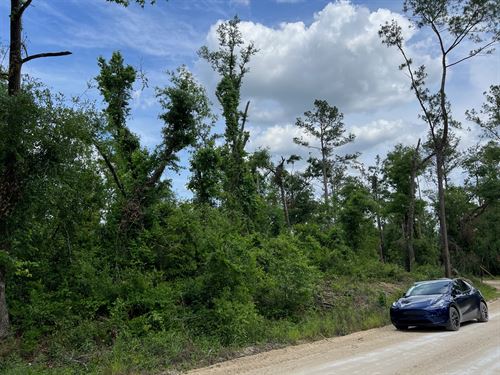 Affordable Lot by Springs & Forests : Live Oak : Suwannee County : Florida