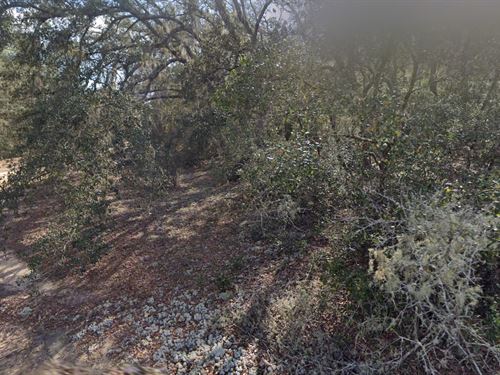 Homesite in Grandin Lake Heights : Interlachen : Putnam County : Florida