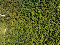 5 Wooded Acres, Wet Weather Cree : Hardy : Fulton County : Arkansas