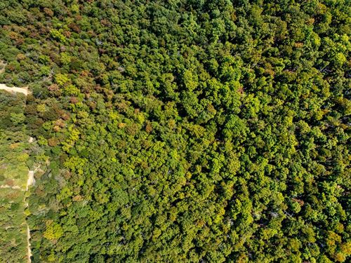 5 Wooded Acres, Wet Weather Cree : Hardy : Fulton County : Arkansas