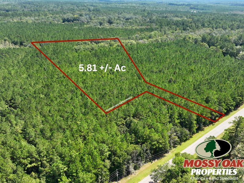 5.81 Acres Old Jefferson Hwy, Woodb : Woodbine : Camden County : Georgia