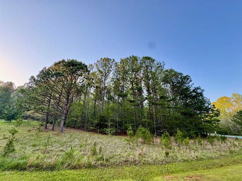 Lakeside Corner Lot : Cross Hill : Laurens County : South Carolina