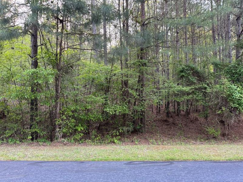 Lakeside Living in Natures Lap : Cross Hill : Laurens County : South Carolina