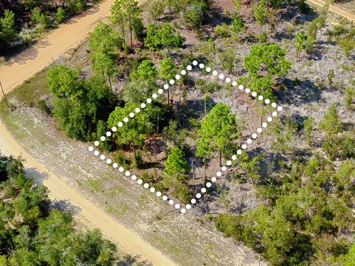 Peaceful Lot Mins to Interlachen : Interlachen : Putnam County : Florida