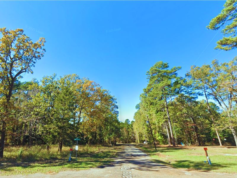 Affordable 0.4 Acre Lot, $244/Mo : Avinger : Marion County : Texas