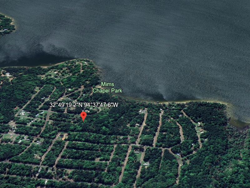 Peaceful Pines, 0.4 Acres : Avinger : Marion County : Texas