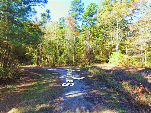 Peaceful Pines Retreat, 0.4 Acres : Avinger : Marion County : Texas