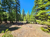 Invest with Camping & Great Views : Alturas : Modoc County : California
