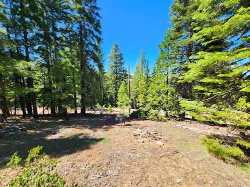 Invest with Camping & Great Views : Alturas : Modoc County : California