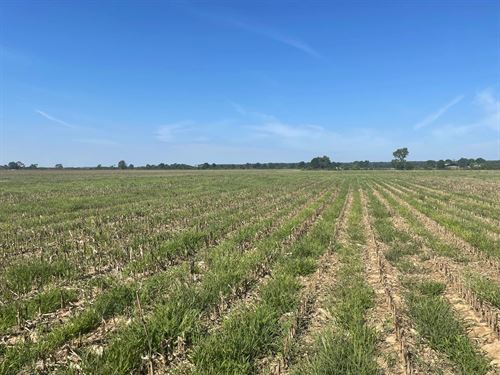 La, Franklin 1340 Acres : Baskin : Franklin Parish : Louisiana