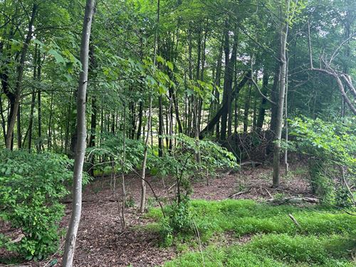 Williams Rd, Westmoreland, Leec : Leechburg : Westmoreland County : Pennsylvania