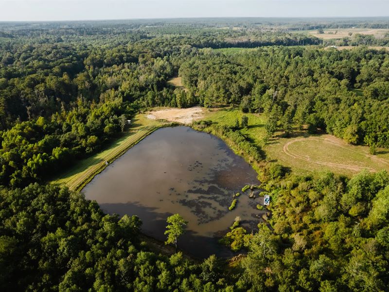 63 Acres in Covington County, AL : Opp : Covington County : Alabama