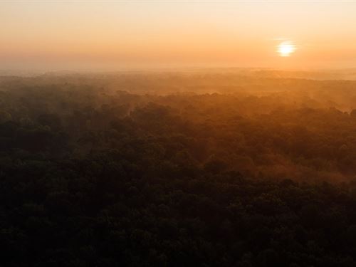 1,592 Acres With A Lodge In Attala : Kosciusko : Attala County : Mississippi