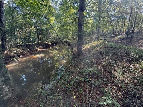 Baker Creek 49 Ac Tract : Goodwater : Coosa County : Alabama