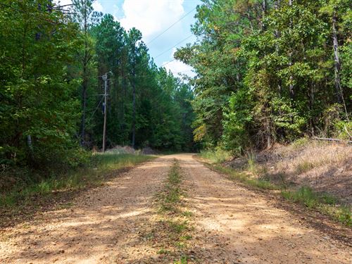 Off of Holly Rd, $999 Down : Sulligent : Lamar County : Alabama