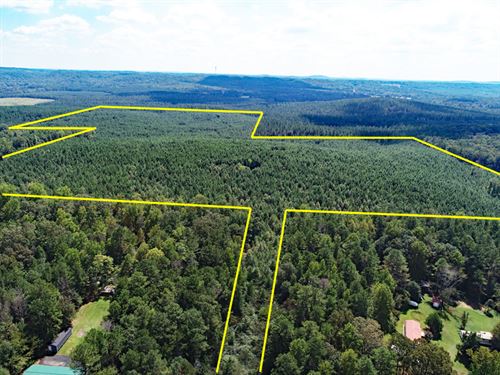 102.88 Acres Wooded : Cedartown : Polk County : Georgia