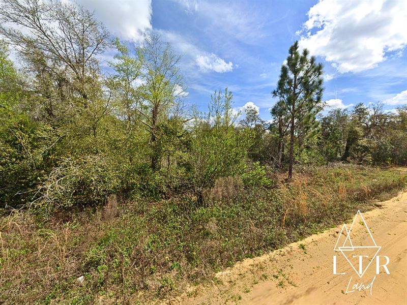 Mobile or Modular Home Ready : Interlachen : Putnam County : Florida
