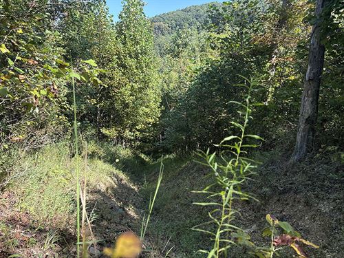 190 Ac Prime Recreational Property : Lucasville : Scioto County : Ohio