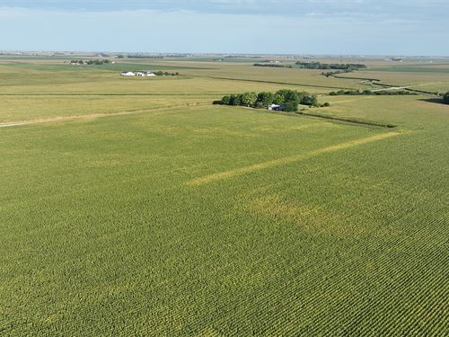 Land Auction, Livingston Co. IL : Dwight : Livingston County : Illinois